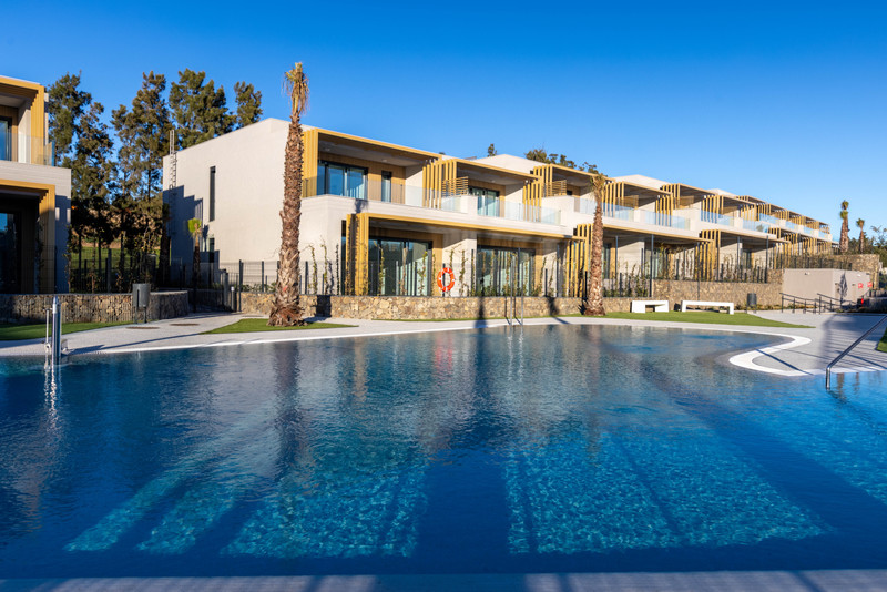 Evergreen Homes – El Chaparral - modern luxury exterior with large communal pool, palm trees and blue sky