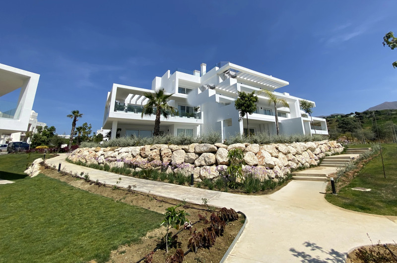 Alcazaba Lagoon IV – Casares - moderne hvit fasade med velstelt hage, støttemur i stein og palmetrær under blå himmel