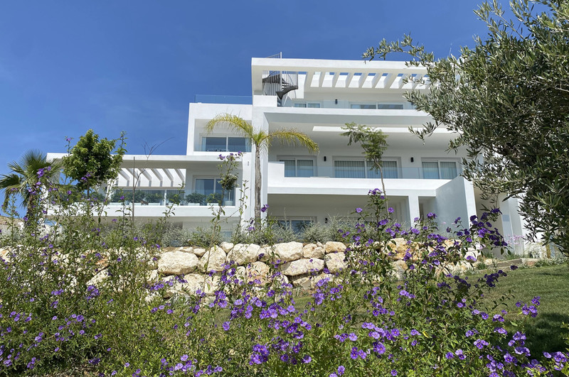 Alcazaba Lagoon IV – Casares - moderne hvit fasade med lilla villblomster og terrasser i stein